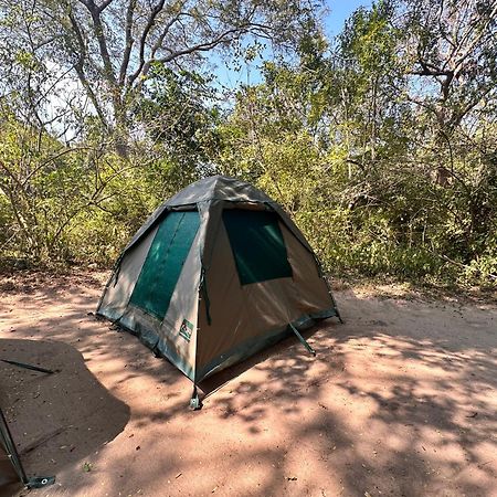 Selous River Camp Kwangwazi ภายนอก รูปภาพ