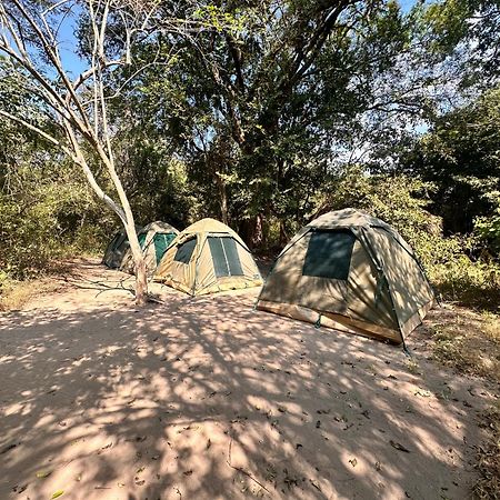 Selous River Camp Kwangwazi ภายนอก รูปภาพ