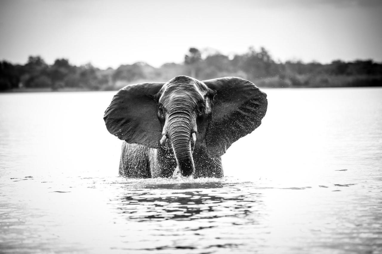 Selous River Camp Kwangwazi ภายนอก รูปภาพ